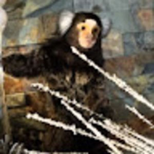 Meet your Posher, Michele